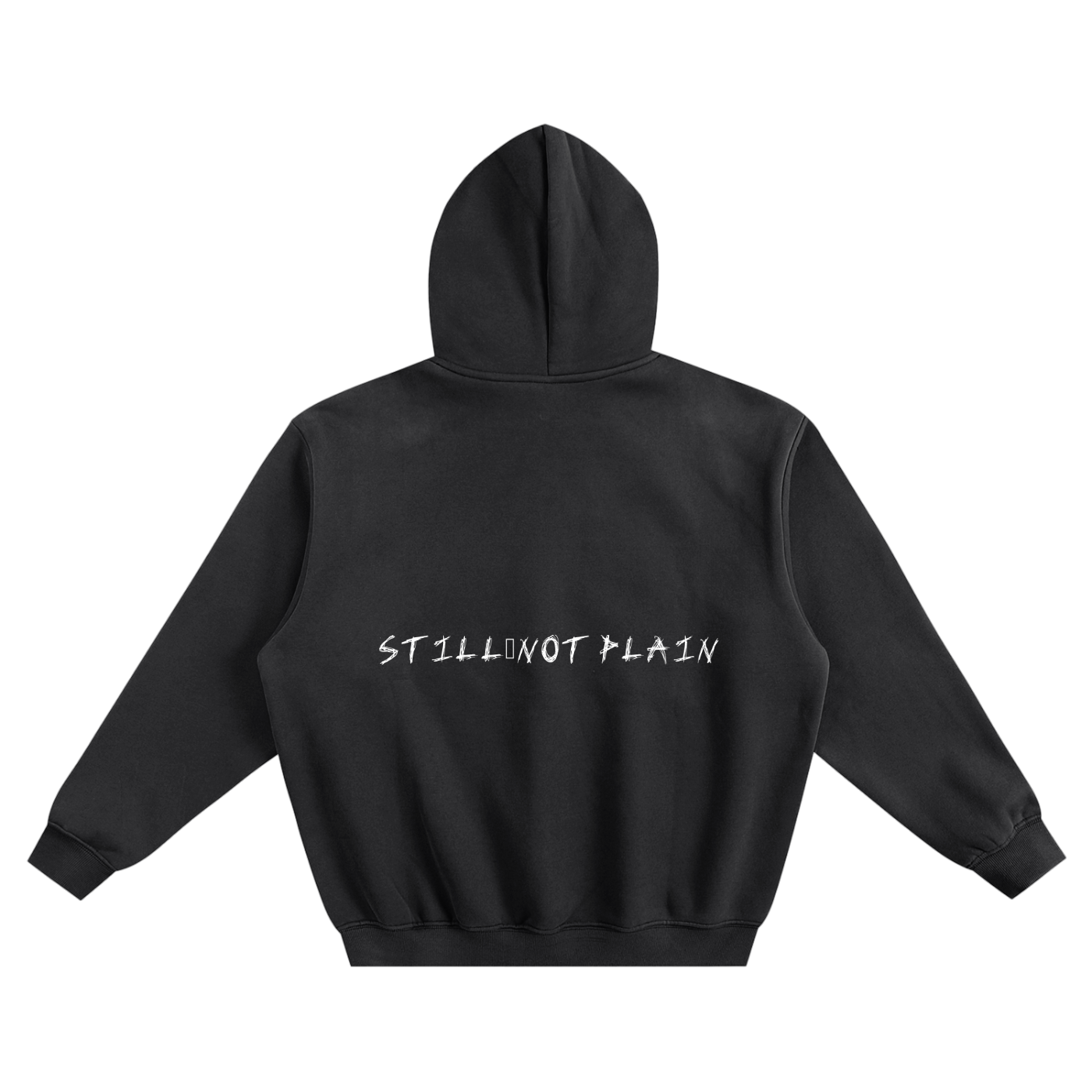 NOT PLAIN THIS IS A HOODIE Fleeced Boxy Hoodie